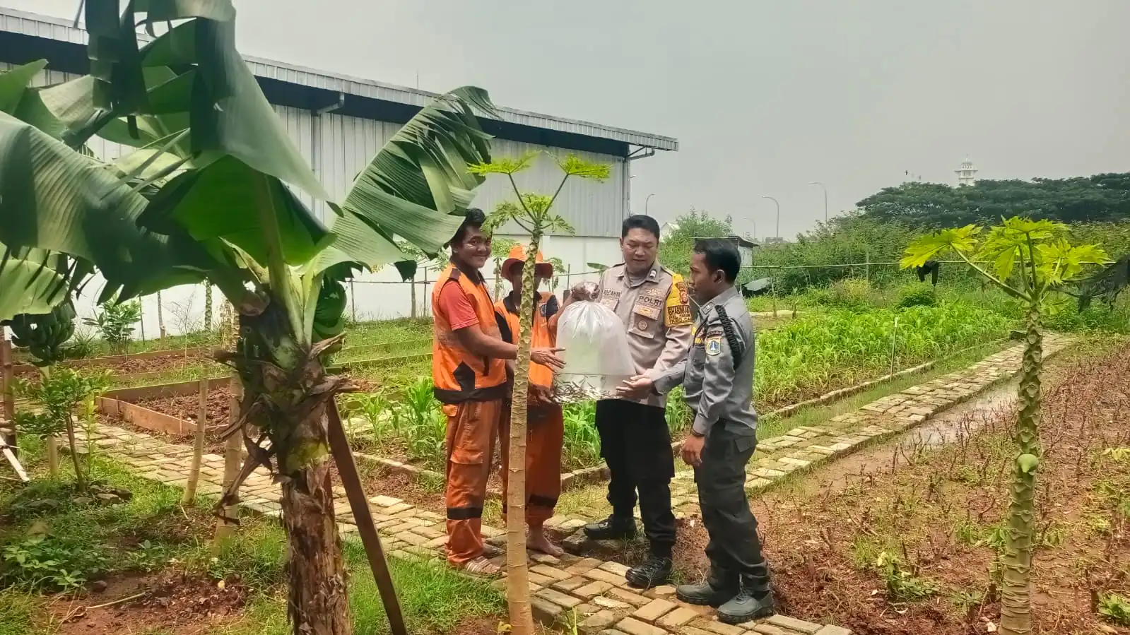 Bhabinkamtibmas Cakung Timur Dorong Ketahanan Pangan, Tebar 500 Bibit Lele di Urban Farming JGC