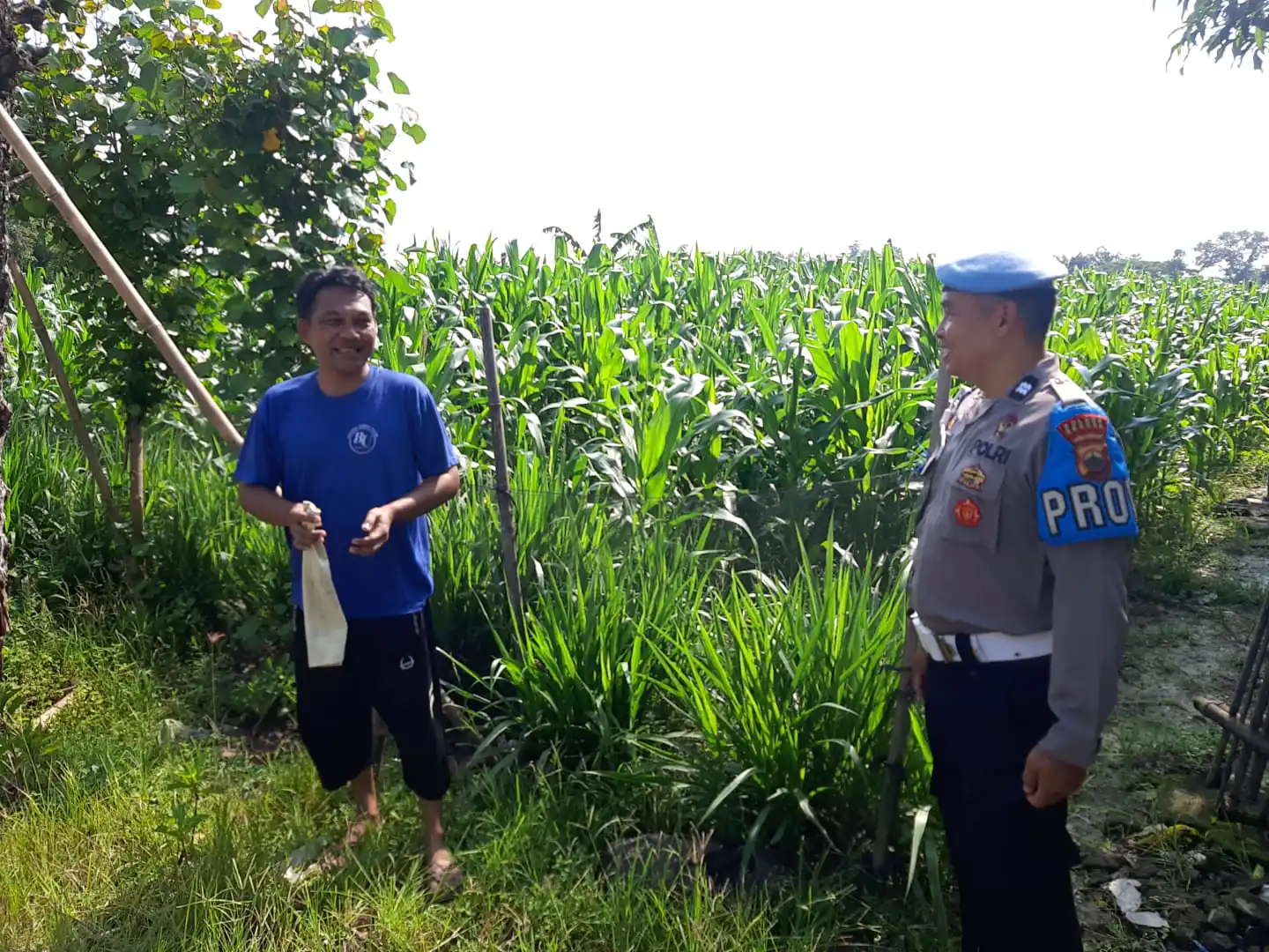 Polsek Sukodono Pastikan Jagung Warga Siap Topang Swasembada Pangan